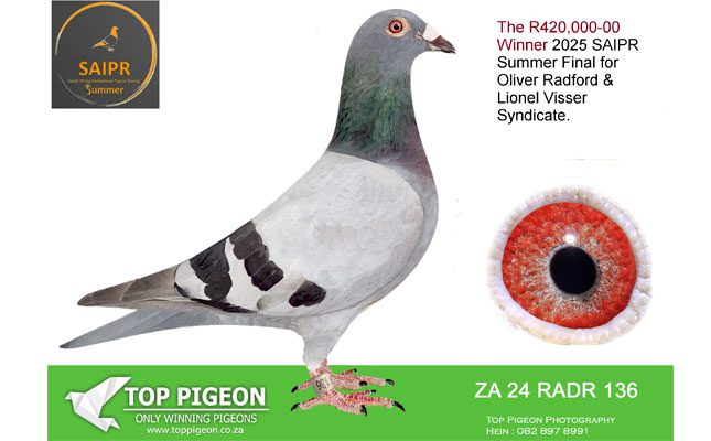 2025-Winner-SAIPR-Summer-Final