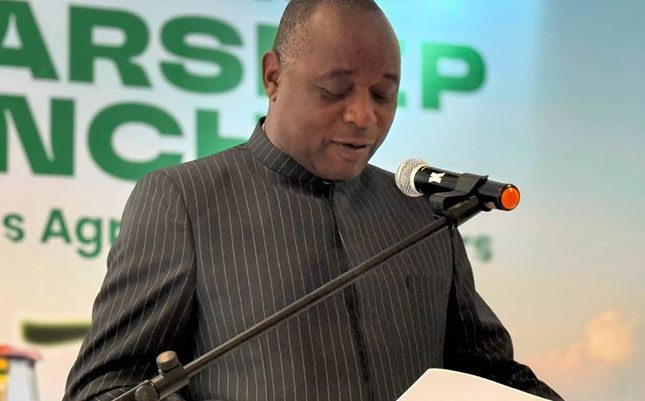 Deputy Minister of Lands, Agriculture, Fisheries and Rural Developmen Davis Marapira delivering a speech at a meeting in Harare recently.