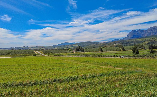 Hoccheim-Farm-Wellington-Rural